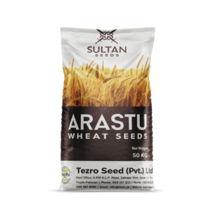 Arastu