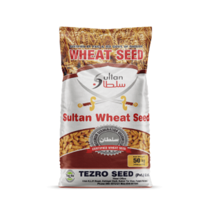 Sultan Wheat Seed